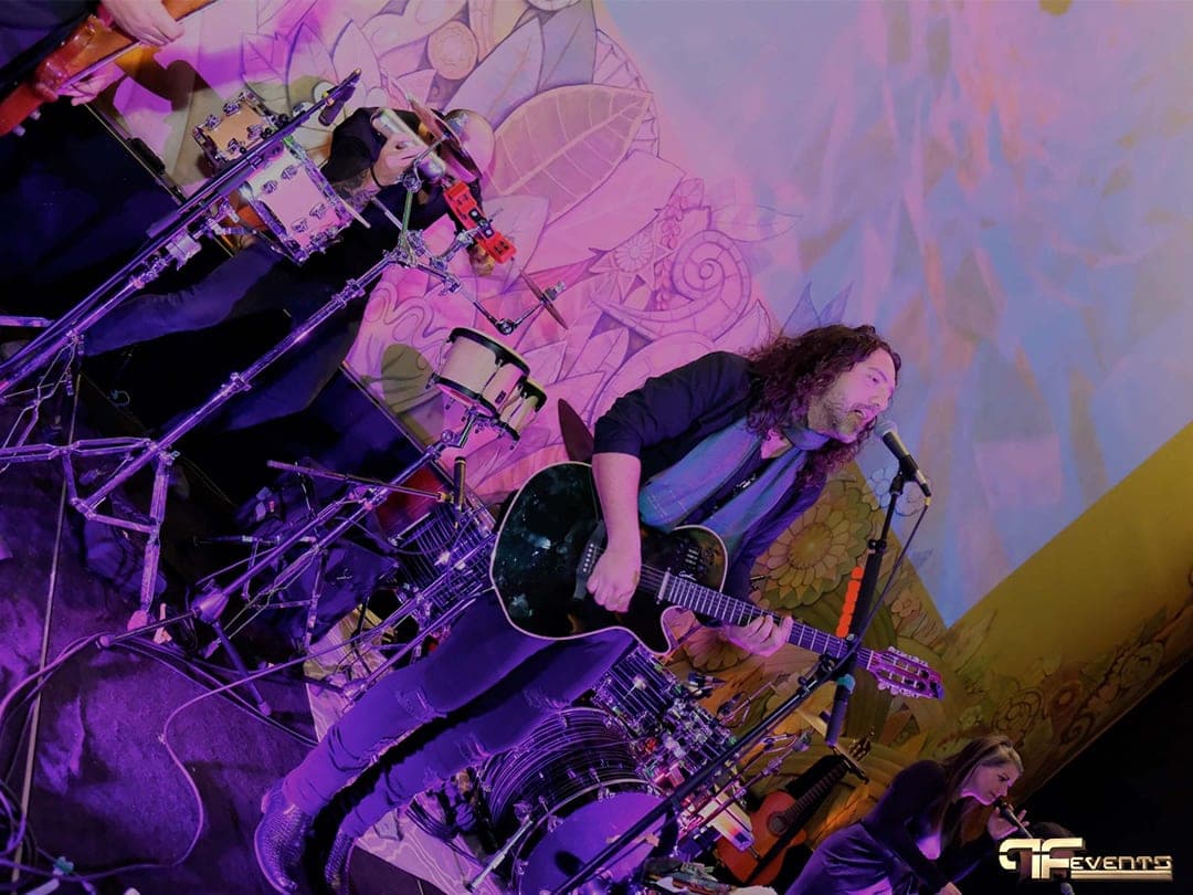 Guitarist singing on stage bathed in purple and pink light, IBX gala 2019